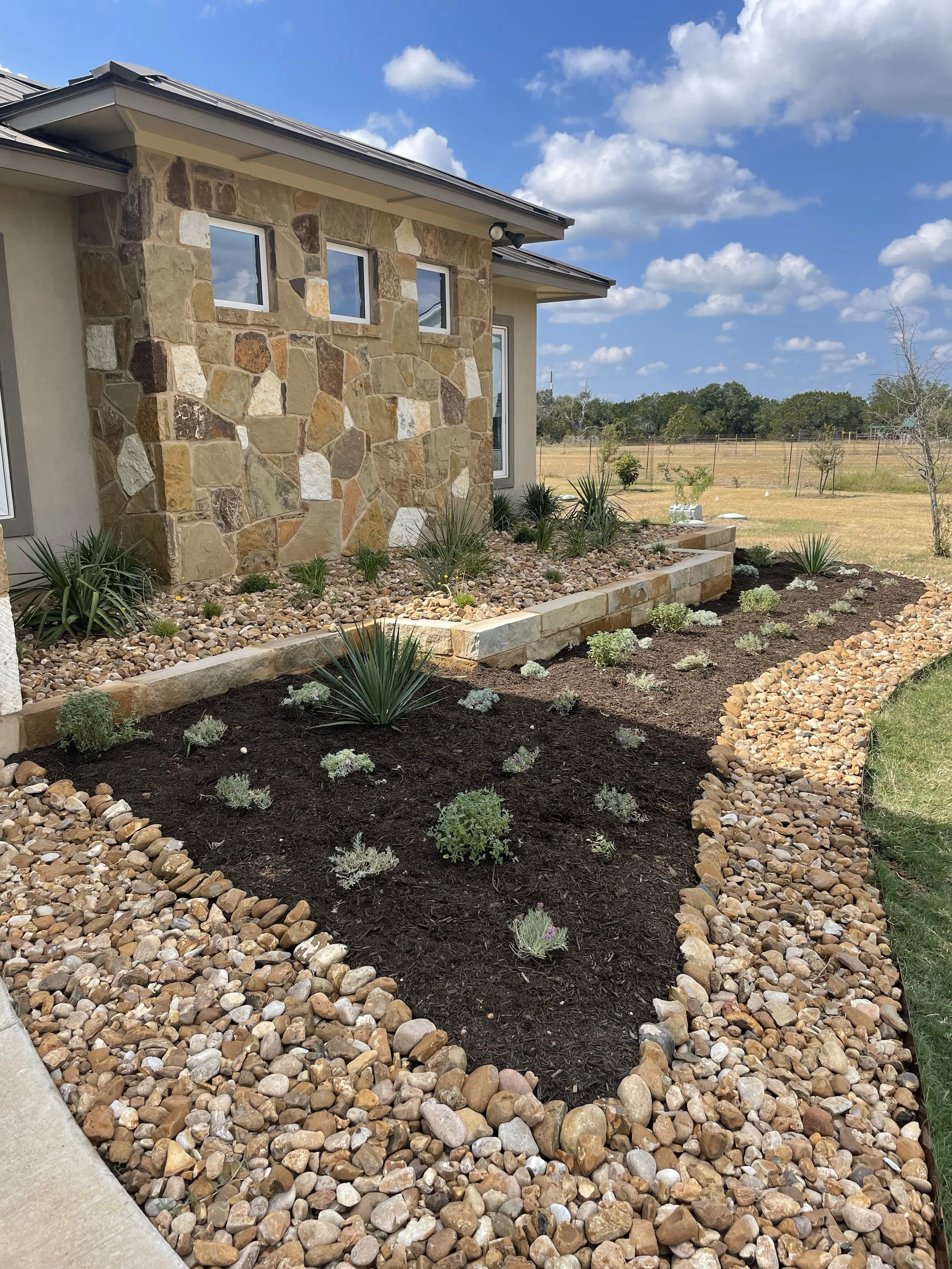 Water-wise planting design