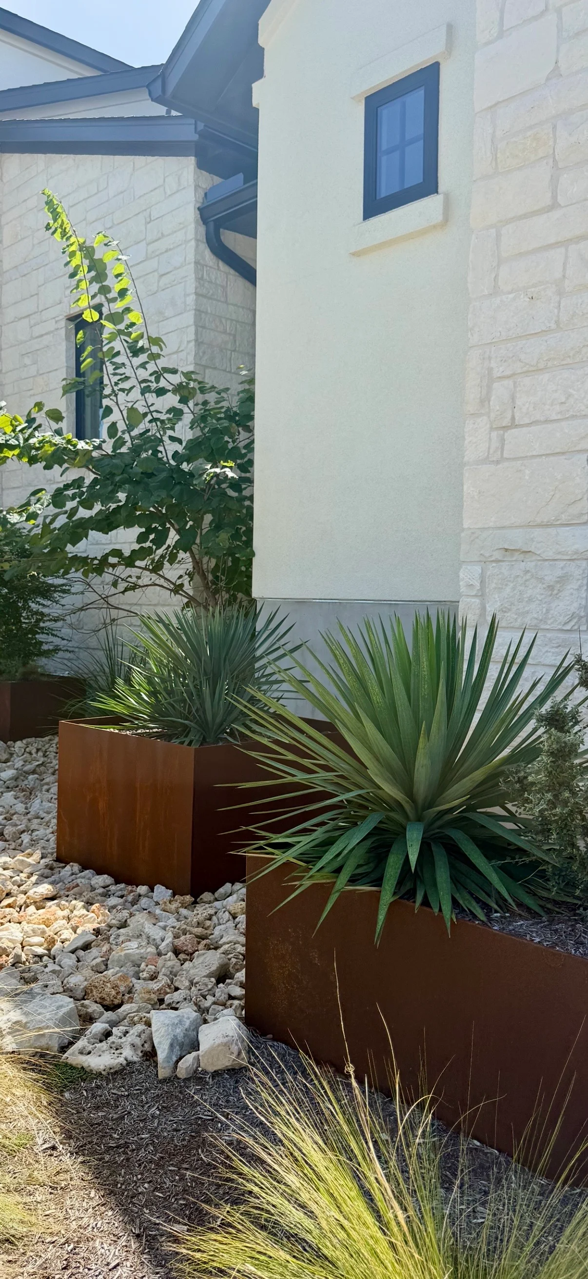 Sculptural yucca planting in custom steel planters beside a stone home